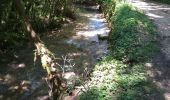 Trail Walking Cerdon - Cerdon Cascade de la Fouge - Photo 4