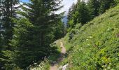 Tour Wandern Pralognan-la-Vanoise - Pralognan, Lac des Vaches par le téléphérique  - Photo 2