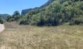 Trail Walking Cize - Cize  - Photo 19