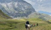 Tour Reiten Gavarnie-Gèdre - Gavarnie étape 5 Corque de Troumouse - Photo 3