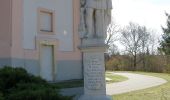 Tour Zu Fuß Gemeinde Mistelbach - Kettlasbrunn: Rundwanderweg Satzer Hölzl - Photo 4