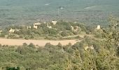 Tour Wandern Château-Arnoux-Saint-Auban - CHATEAU NVSD . LE TOUR DES AMARINES N - Photo 2