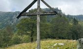 Tocht  Le Valtin - Sentier des roches frankenthal col de la schlucht - Photo 2