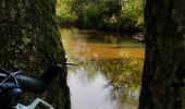 Excursión Bici de montaña Rambervillers - sortie vtt du 19082018 rambervillers - Photo 13