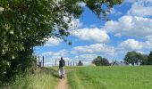 Trail Walking Amel - Herresbach  - Photo 3