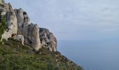 Tocht Stappen La Ciotat - soubeyrannes  aller retour - Photo 16