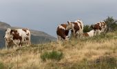 Excursión A pie Le Claux - Les Chamois - Photo 9