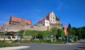 Tour Zu Fuß Alzenau - Kulturweg Alzenau 2 - Photo 8