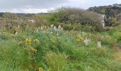 Trail Walking Guidel - PR_56_Guidel_CA_03_Autour-De-L-Etang-De-Lannenec_Circuit3a_20240428 - Photo 3