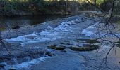 Tocht Stappen Le Thoronet - Le Thoronet- Canal de Ste Croix - Argens - Photo 19