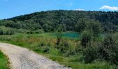 Randonnée A pied Le Frasnois - Les 4 lacs   - Photo 3