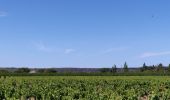 Tour Wandern Nîmes - Régordane 9 - Nîmes-St Gilles - Photo 13