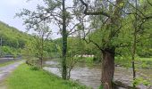 Trail Walking Hamoir - comblain la tour . xhygnesse . comblain fairon . comblain la tour - Photo 19