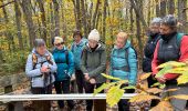 Randonnée  Ballancourt-sur-Essonne - BM Ballancourt 15km - Photo 2