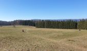 Trail Walking Ottrott - Mont Sainte-Odile - Tour du mur Païen - Photo 1