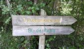 Trail On foot Pujols-sur-Ciron - Pujols-sur-Ciron : boucle locale - Photo 2