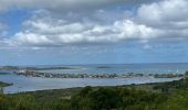 Tocht Stappen Sint Maarten (Frankrijk) - Rando Bellevue  - Photo 3