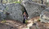 Tocht Stappen Fontainebleau - Fontainebleau gorges de Franchard - Photo 4