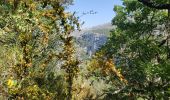 Excursión Senderismo Trigance - LE pont du Sautet,de Carajuan et le belvédère des vautours - Photo 14