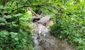 Tocht Paardrijden Walcourt - Mertenne/bois de la Baronne/Rognée - Photo 2