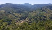 Tour Wandern Barr - 3 châteaux depuis Barr - Photo 18