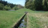 Tocht Te voet Bischbrunn - Schwarzer Fuchs, Rundwanderweg Weihersgrund am Sylvan - Photo 3