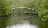 Tour Zu Fuß Nideggen - Stauseerundweg Obermaubach - Photo 9