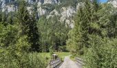 Trail On foot Pfäfers - Spazier Rundweg Radein - Photo 6