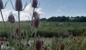 Tour Wandern Port-des-Barques - st froult entre mer et marais 11.5 - Photo 6