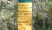 Randonnée Marche Die - Ausson - Montagne de Gavet (Diois) - Photo 5
