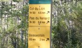 Tour Wandern Die - Ausson - Montagne de Gavet (Diois) - Photo 5