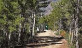 Trail Walking Fuilla - fuilla (66) - Photo 11