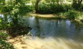 Randonnée Marche Vouillé - 2019-05-12 Les ponts de pierre sur le Lambon - Photo 5