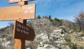 Tocht Stappen La Croix-sur-Roudoule - Pibossan par Leouve et col de Roua - Photo 2