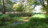 Tocht Stappen Oudergem - Balade en forêt de Soignes - Auderghem - Photo 3