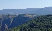 Randonnée Marche Prévenchères - Gorges du Chassezac au départ de la Garde guérin  - Photo 19