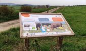 Randonnée Marche Tenneville - Boucle agricole - Le circuit de la ferme des Frênes  - Photo 2