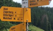 Tour Zu Fuß Unterägeri - CH-Wildspitz - Urzlenboden - Photo 7