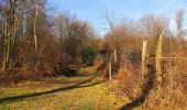 Tour Zu Fuß Vieux-Moulin - en forêt de Compiègne_23_la Grotte des Ramoneurs_le Mont Berny - Photo 20