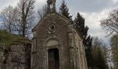 Tocht Stappen Sainte-Marie-en-Chanois - 22-04-21 rando des 2 chapelles Amage - Photo 2