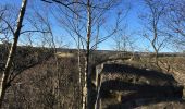 Trail Walking Waimes - Robertville Barrage-Reinhardstein-Bayehon-Xhoffraix-Walk-Robertville - Photo 15