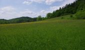 Trail On foot Urbach - Urbacher Wanderweg 9 - Photo 2