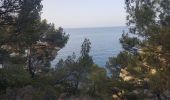 Excursión Senderismo Saint-Cyr-sur-Mer - Calanque Port d'Alon boucle par la pointe fauconfanière et le sentier des vignes   - Photo 1