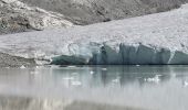 Randonnée Marche Bonneval-sur-Arc - Lac glaciaire grand Méan - Photo 9