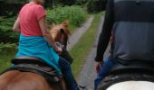 Trail Horseback riding Vacqueville - vacqueville chez Heidi bertrichamp  - Photo 8
