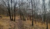 Tour Wandern Chaudfontaine - autour de la Béole - Photo 14