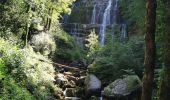 Percorso Marcia Menétrux-en-Joux - Trois cascades du Hérisson  - Photo 7