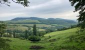 Percorso Marcia Saint-Cyr-le-Chatoux - Saint-Cyr-le-Chatoux / 10 km - Photo 1