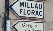 Percorso Bicicletta elettrica Millau - Millau gorges de la Jonte et gorges du Tarn - Photo 12