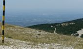 Trail Electric bike Sault - le mont Ventoux  - Photo 11